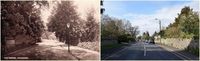 Chudleigh Then & Now (#61)